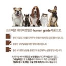 에스앤에이치(S&H) | 반려동물 프리미엄 이유식 베이비 펫밀 체험후기입니다.