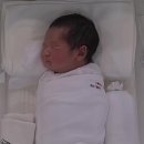 (주)아르테미스 | 포천 아르테미스 산후조리원 양주 사는 둘째맘 후기 (+마사지)