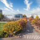 원광대학교 이미지