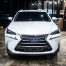 3689 | [대전 내차보호]렉서스 NX300h + PPF 생활보호패키지 + 라이트보호필름 시공