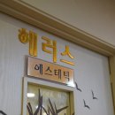 헤러스 네이버블로그