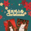 멍프리스쿨 이미지