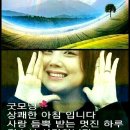 사랑비 Daum카페