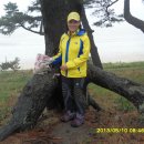 분계정숙민박 이미지