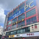 1476 | 고양이가 짱귀여운 대전만화카페 꽁냥꽁냥