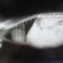 유석동물병원 이미지