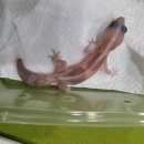 와우펫앤쥬(기장점) 이미지