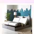 세진모드 이미지