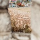 조항농로 이미지