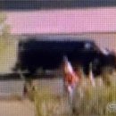 모터케이드 이미지