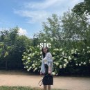 스카이 오리진 | SIE | 시에 니스 시어 셔츠 스카이블루 구매후기