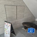 국수나무가흥택지점 | 북구 본촌동 맛집/양산동 맛집] 쌀국수집 '방콕43' 내돈내산 후기! 나시고랭 볶음밥이 찐인 분위기 좋은 곳