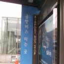 강남고속터미널역 에서 인천공항 제1여객터미널 가는 공항버스 심야버스 N 6002번 시간표 안내 (99233) 이미지