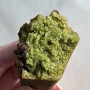 오룡 | 대전 용두동 엘오공이커피로스터즈 후기 | 오룡역 근처 공간 넓고 커피가 맛있는 집!