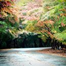 케이스타일(K.style) 이미지