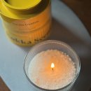 안심지 | 성수꽃집 꾸까 꽃다발 말고 심지 꽂아쓰는 슈카캔들 쇼핑 후기