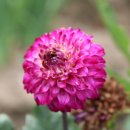 유곡농장 이미지