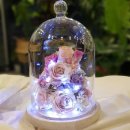 운정블라썸꽃집 이미지