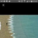 바이크비 Daum카페