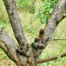 아이린어린이집 이미지