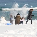 오랍드리 이미지