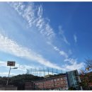 포항이동고등학교 | [새내기유권자교육] 수능 끝! 포항 이동고 교육 현장, 184명의 한 표 가치 토론 후기