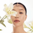 디스토리 이미지