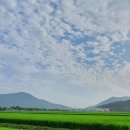 예닮이네 이미지