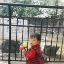 백합보육원 이미지