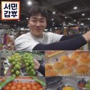 과일청년 이미지