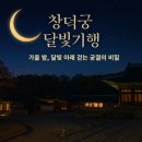 산책길에 만나는 인문학 기행(10월) | 🌙✨창덕궁 달빛기행│가을 밤, 달빛 아래 걷는 궁궐의 비밀