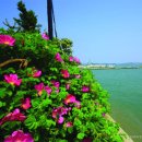 압해면가란도보건진료소 | 한국의 유명 섬 시리즈 - 전남 신안 고이도 (062)