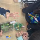 신곡초병설유치원 이미지