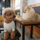 수원광교 공공실버주택(푸르지오서비스) | [경기도 수원시 팔달구] 봉녕사(수원)