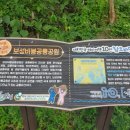 득량미용실 | 전라남도 보성군 득량면 공룡 좋아하는 아이들과 가볼만한 곳 비봉공룡공원 후기