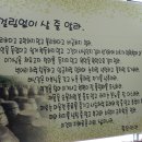 백석사 이미지