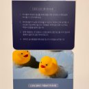 레인보우드로잉스타의정부