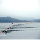 기타등등 이미지