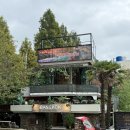 새등대횟집 | 하동 삼성궁 구경하고 맛있는거 많이 먹은 날!! 방콕산장, 새등대횟집, 새콩커피 내돈내산