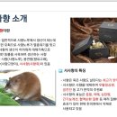 향 화장품 이미지