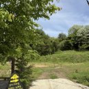 대곡보건진료소 이미지