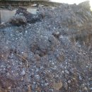 호림농장 이미지