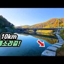 🚅 가을의 전설을 만나는 '10km' 물소리 트레킹 코스! 지금이 절정입니다 | 📸 대중교통 당일치기 여행 | 🇰🇷 Thousa 이미지