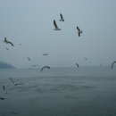 두리펜션 이미지