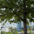 첨단산업5로 | K-MediHub 면접 후기｜대구경북첨단의료산업진흥재단 PT 면접 경험담