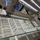 아프리카안경 이미지