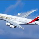 허니문2 이미지