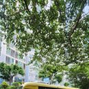 해뜨는유치원 이미지