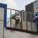 일오삼회센타 - 4349 | 일오삼회센타