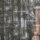 정글짐 탐색하는 러바오🐼.gif 이미지